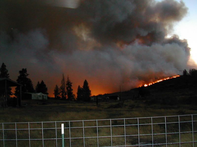 DSCN3530.jpg