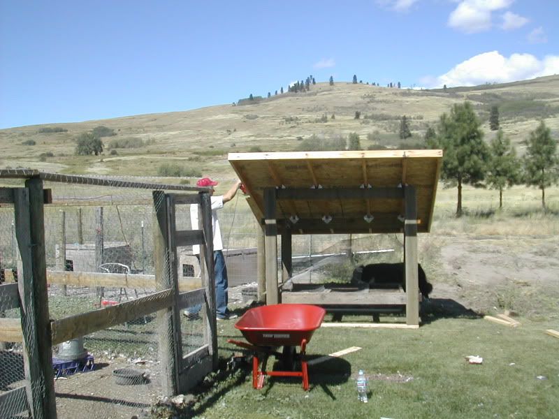 DSCN4736.jpg