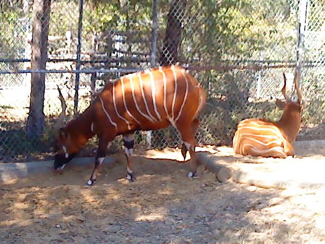 DSC08366.jpg