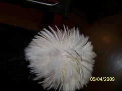 3505395267_e84d22ec02_m.jpg