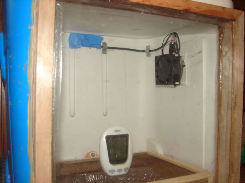 incu02.jpg