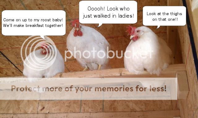 Caption.jpg