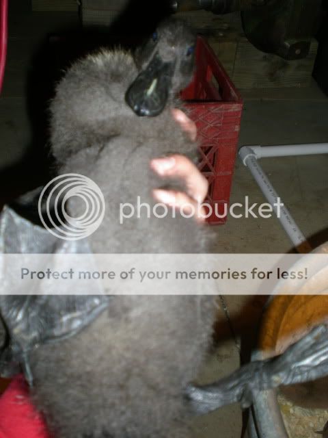 DSCN2824.jpg