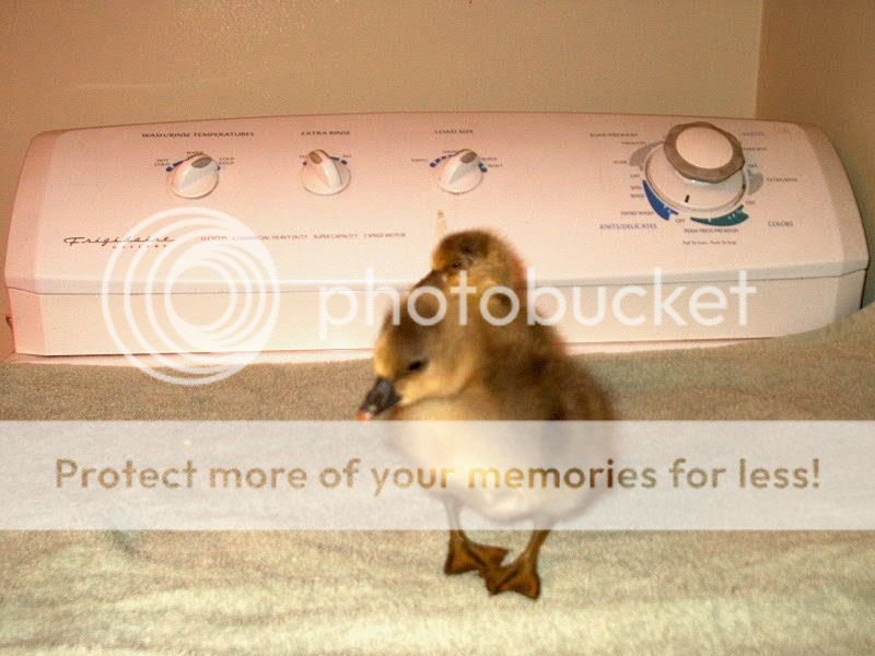 IM002280.jpg