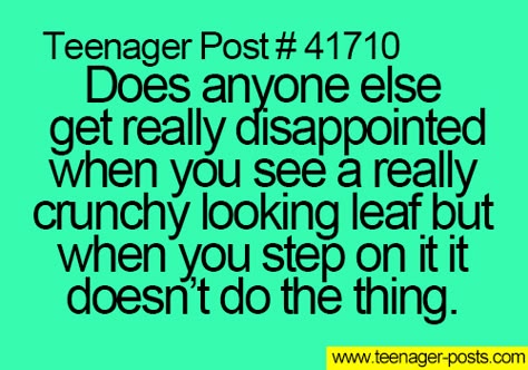 e60c384da90a4bc6b79fb41b55f54017.jpg