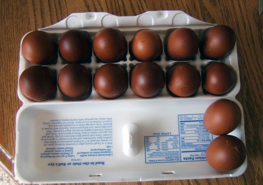 BevsMaranseggs.jpg