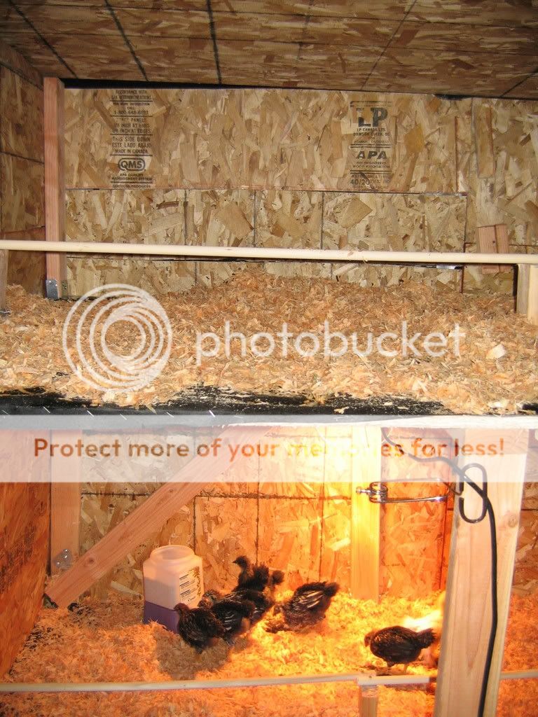 IMG_0499.jpg