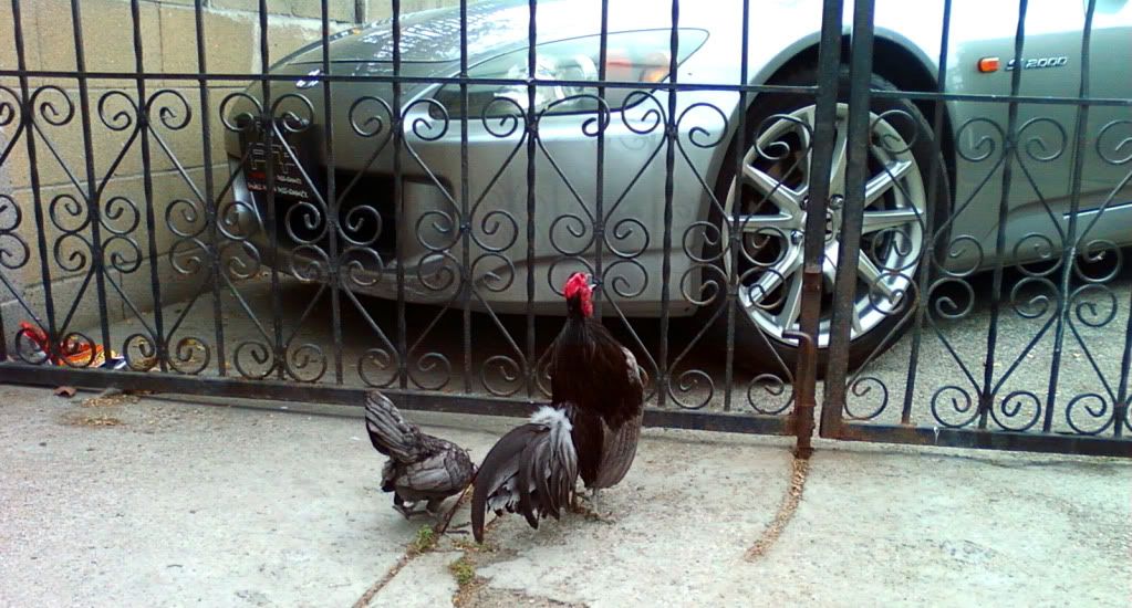 Photo0155.jpg