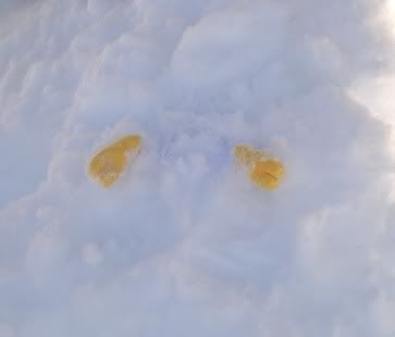 Snow8.jpg
