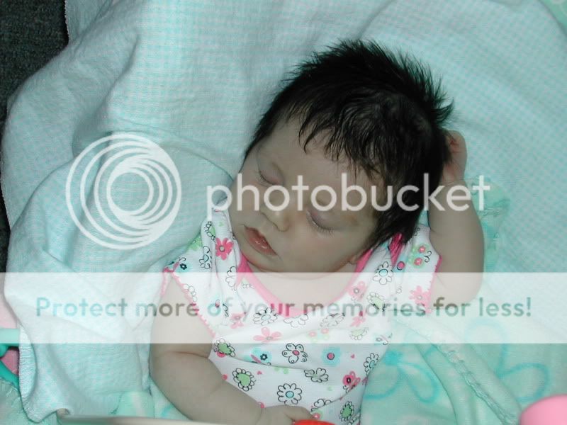 DSCN5572.jpg