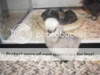 Picture007.jpg
