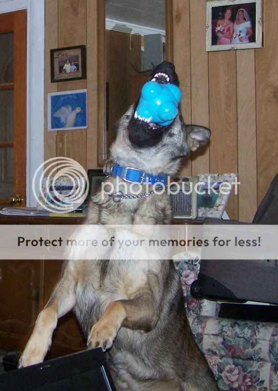ball2.jpg