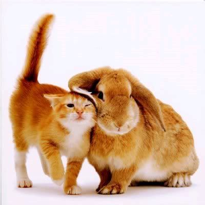 Cute.jpg