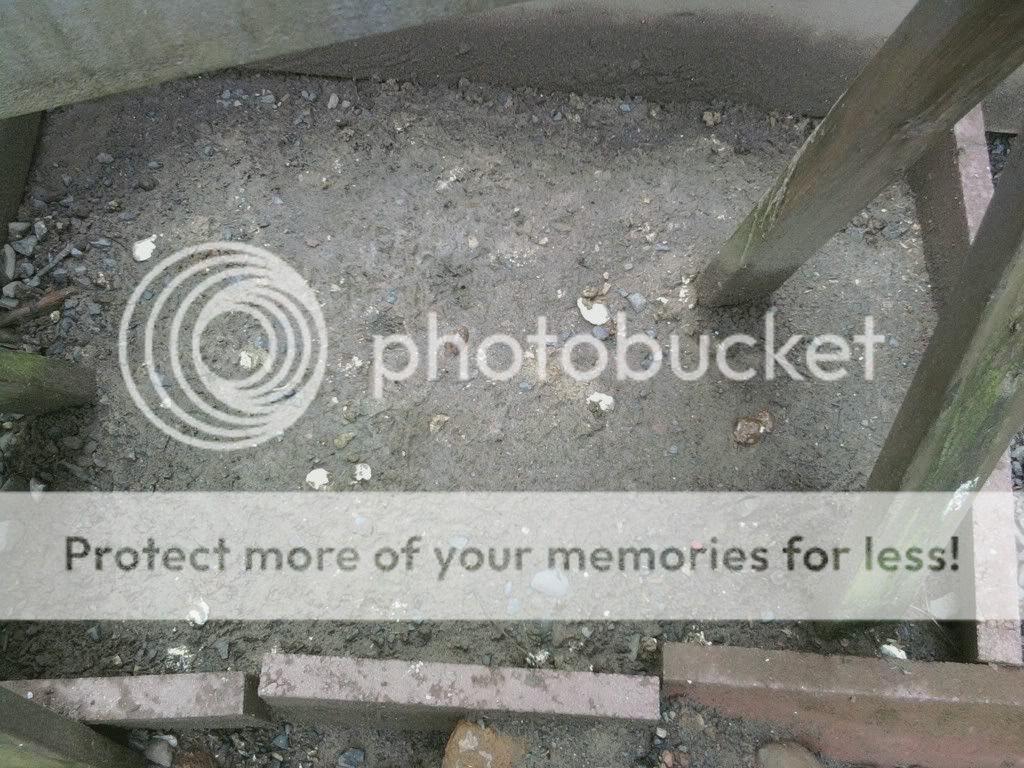 mms_picture60.jpg