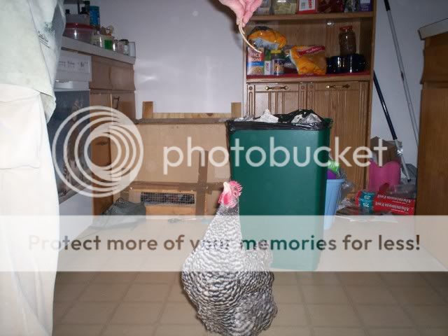 100_2353.jpg