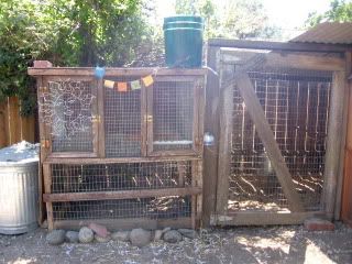 installedwateringsystem061709a.jpg