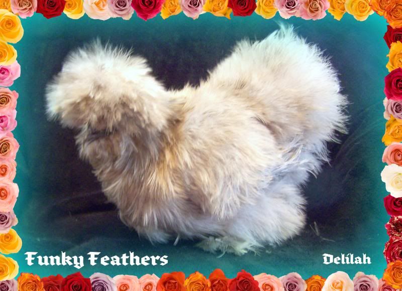 delilah05.jpg