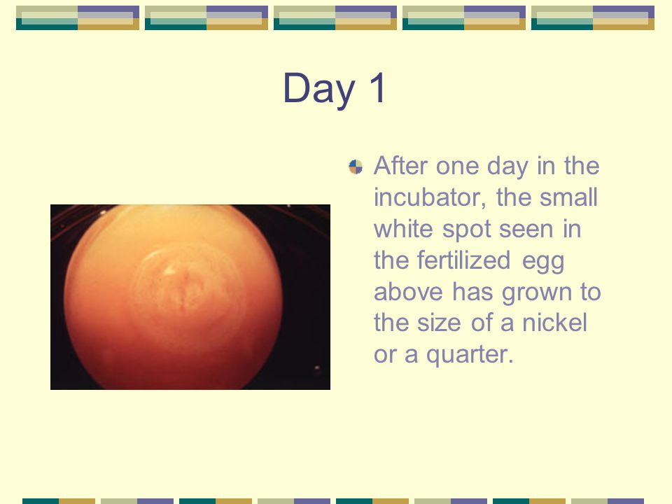 slide_31.jpg