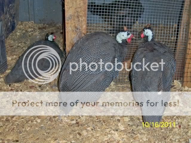 100_8134.jpg