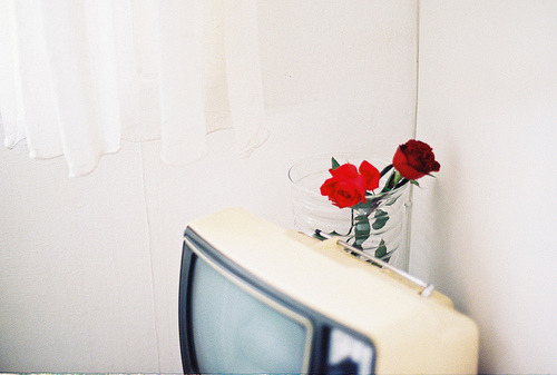 tumblr_m012dutVk91qchuyeo1_500.jpg