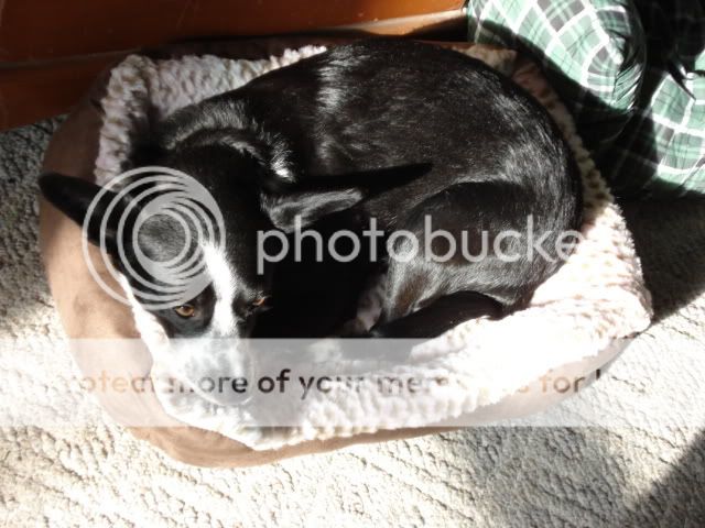 DSC03534.jpg