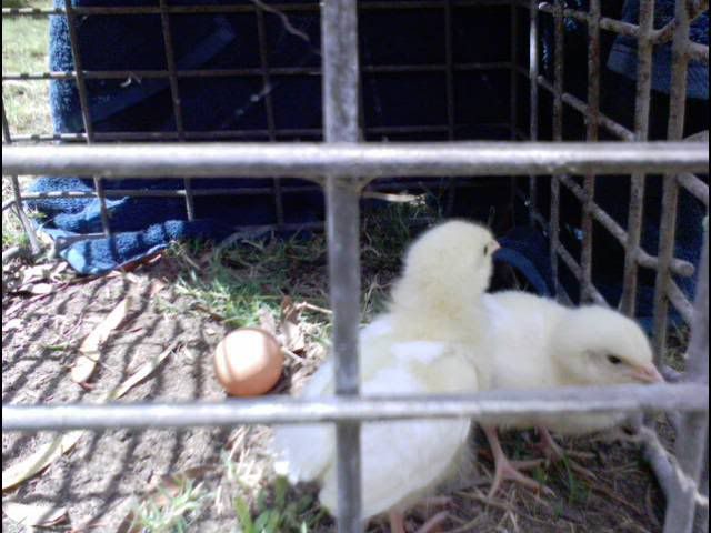DSC00019.jpg