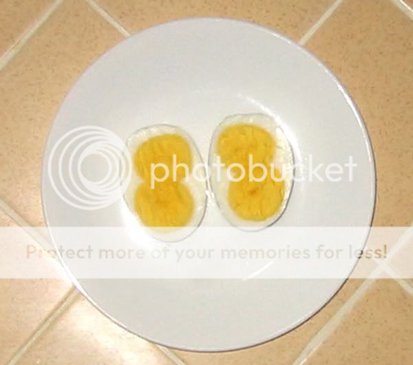 DoubleYolkBoiledeggemail.jpg