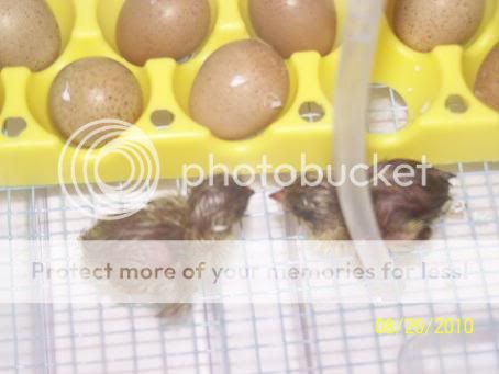 100_5748.jpg