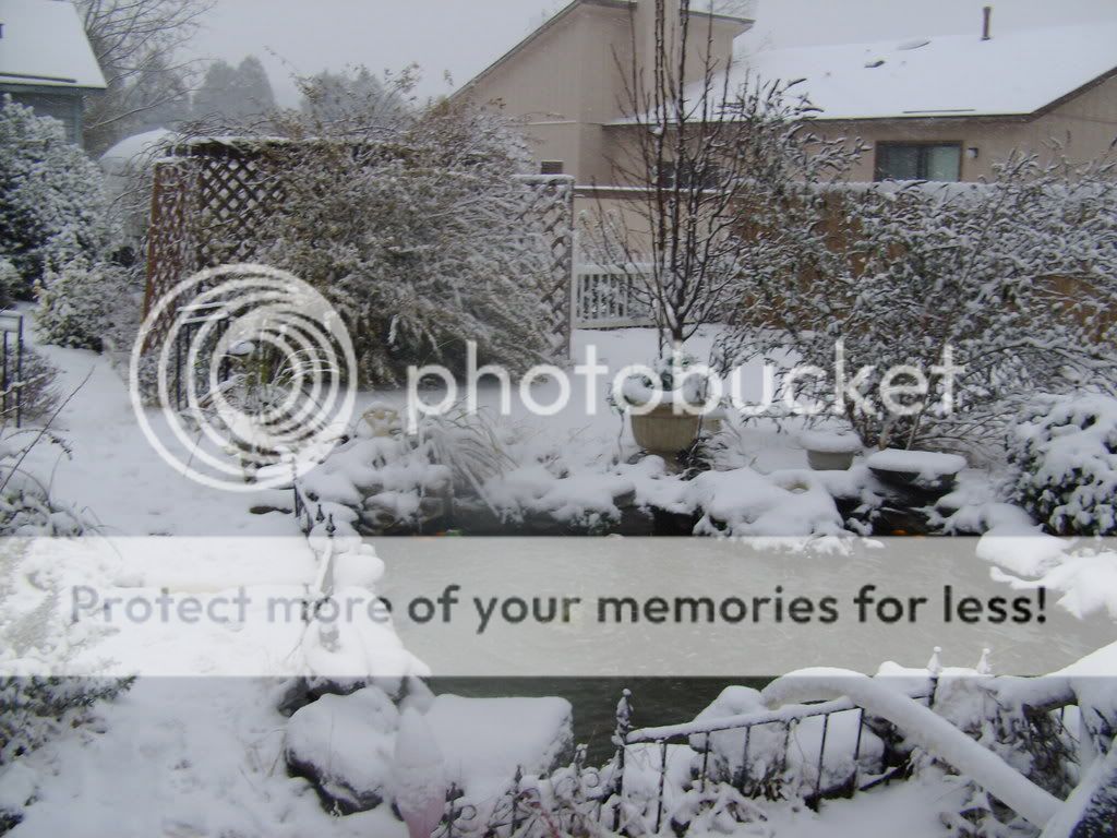 HPIM9931.jpg