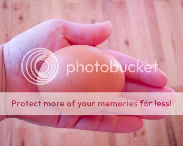 bigegg3.jpg