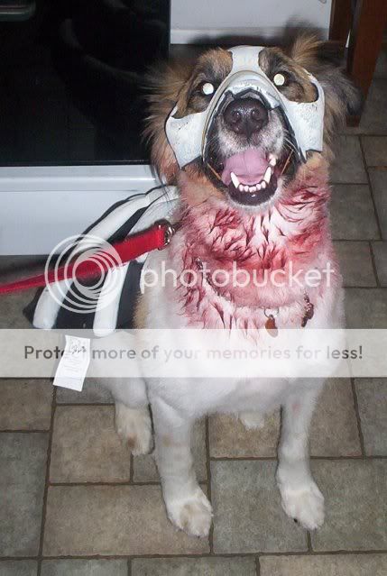 buddyhalloween.jpg