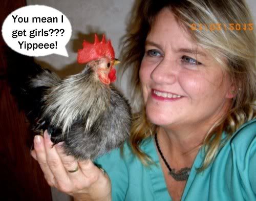 m-ch_grls.jpg