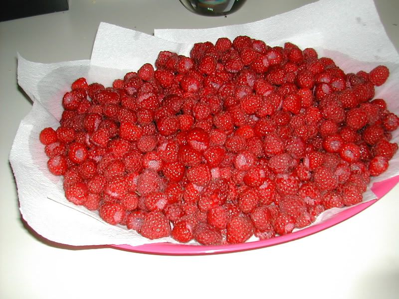 DSCN5375.jpg