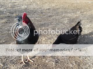 DSCN0149.jpg