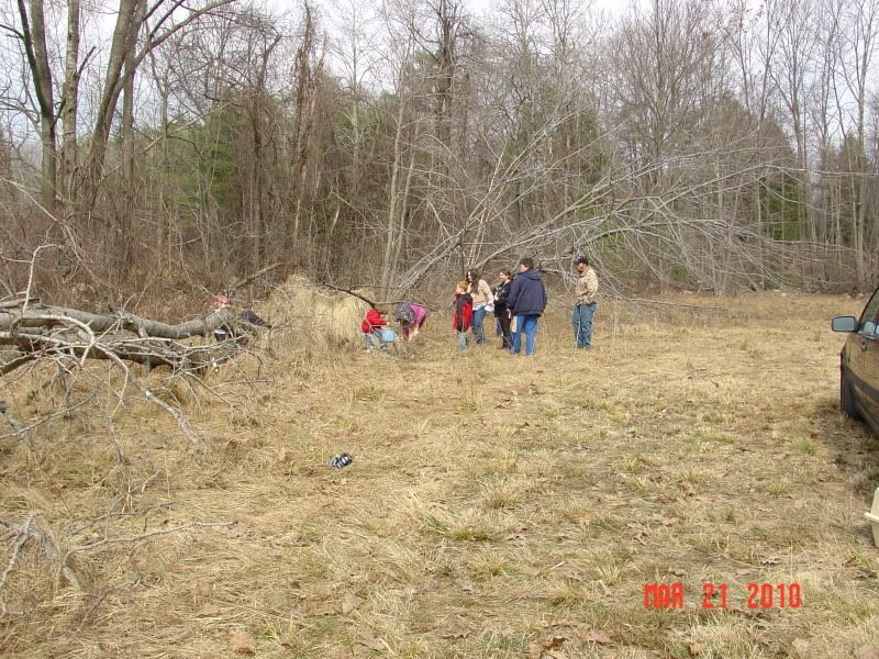 springfling036.jpg