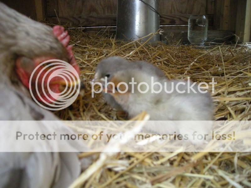 DSCN4898.jpg