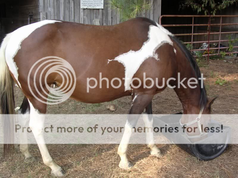 KitKat9-15-201011.jpg