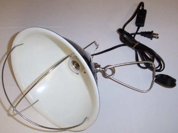 BrooderLamp2.jpg