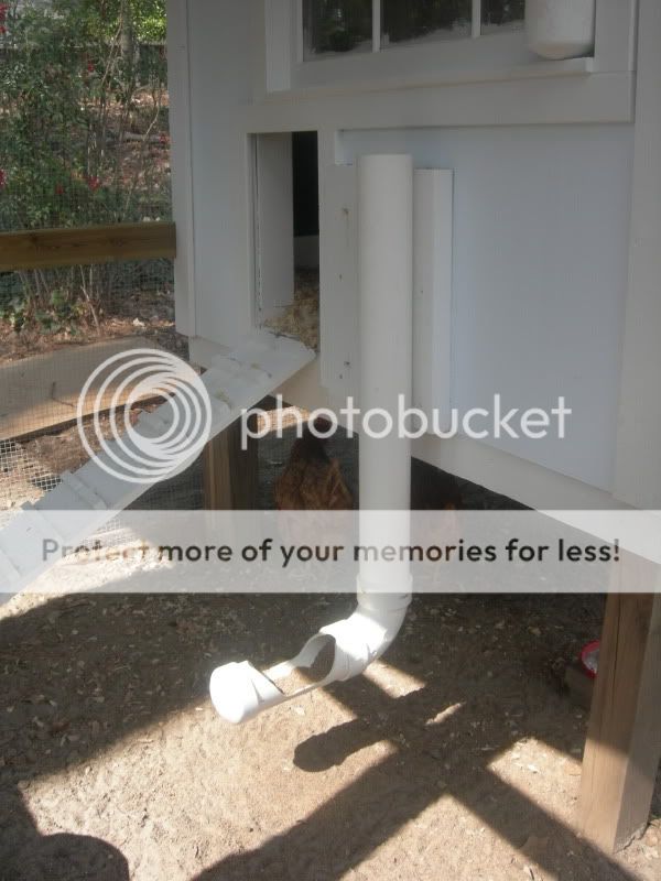 DSCN3046.jpg