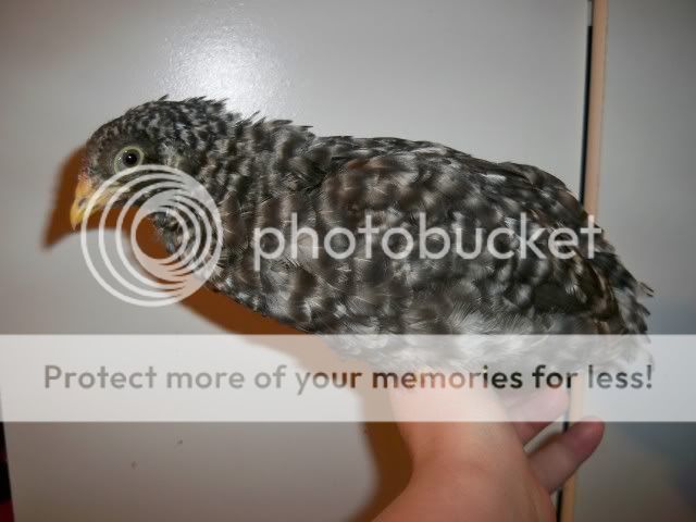 100_1235.jpg