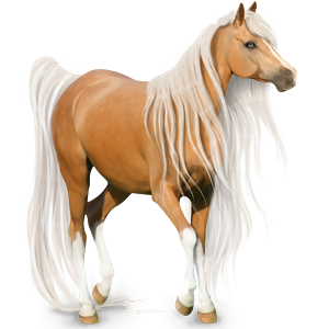 100009395-normal.png