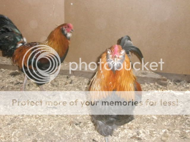 PC240823.jpg