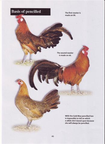 Page_46.jpg