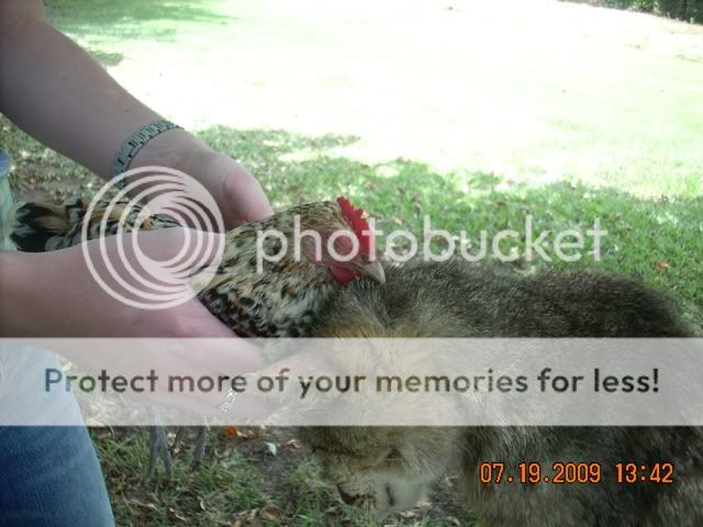DSCN3234.jpg
