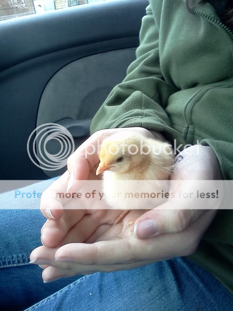 051611154444.jpg