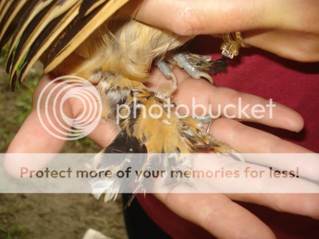 DSC09231.jpg