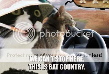 batcountry.jpg