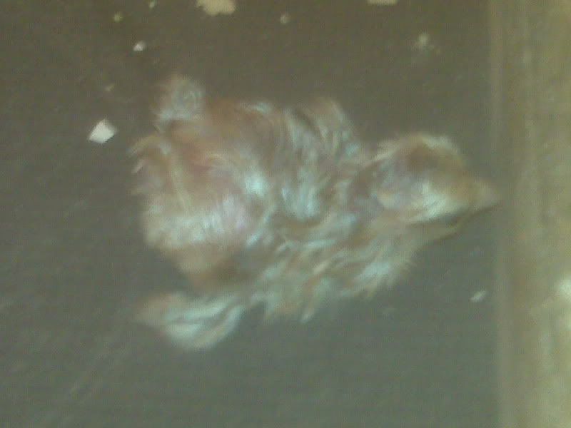 IMG00244.jpg
