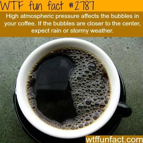 a1bfb6aa2fd1a5e9857383c2c04c29b2.jpg