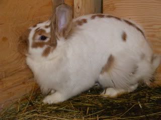 DSCF3022-1.jpg